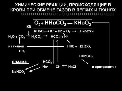 Какие химические реакции в организме человека