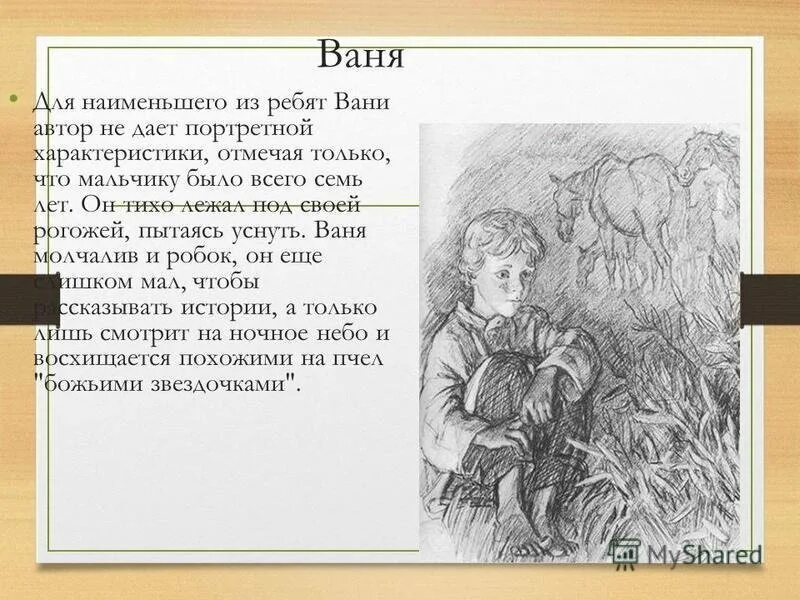 Произведения о луге. Бежин луг характер Вани. Тургенев Бежин луг Ваня. Описание мальчика Вани из рассказа Бежин луг. Портрет мальчиков из Бежин луг.