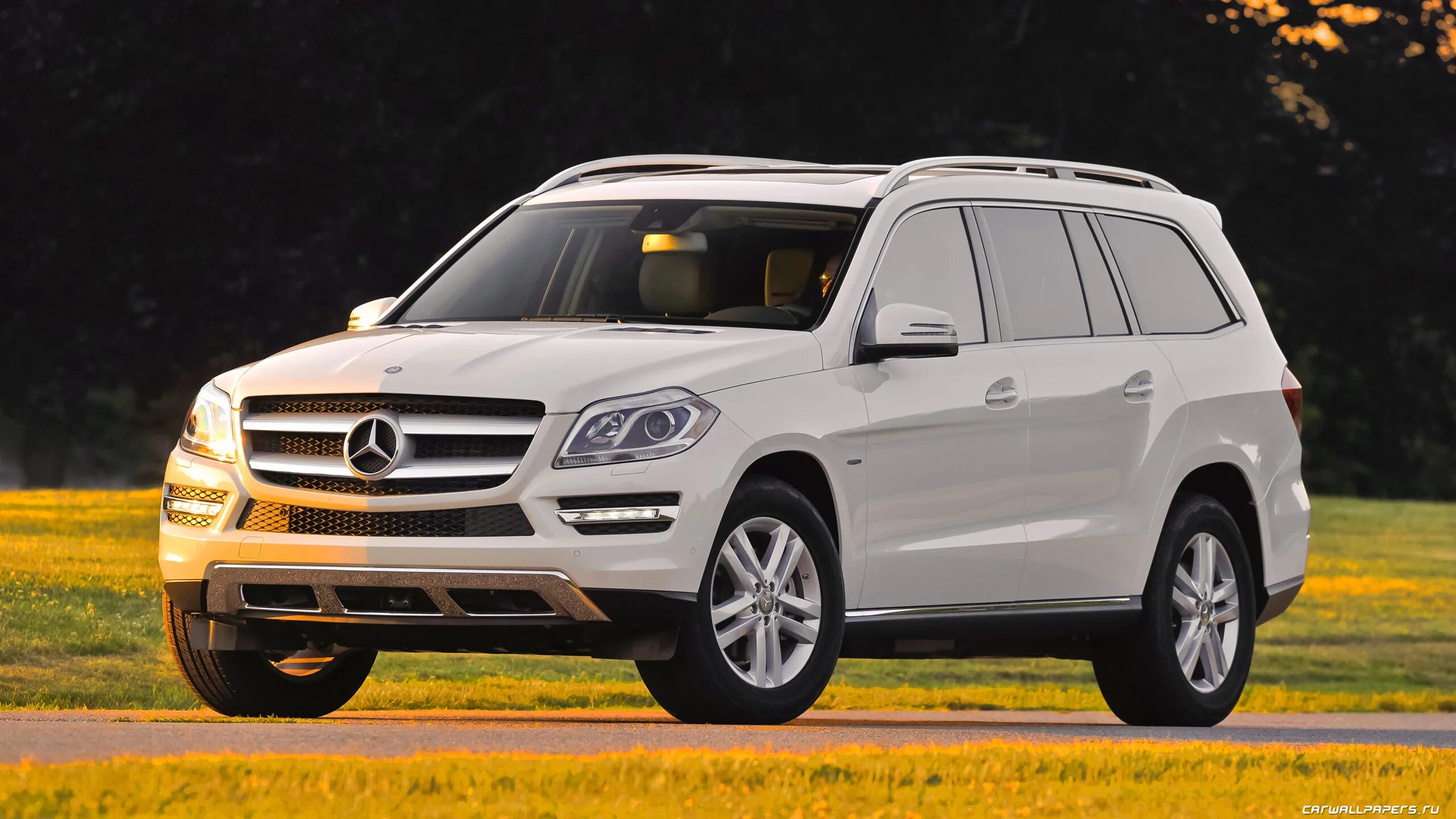 Mercedes benz gl 63 amg. Mercedes benz gl x166. Mercedes benz gl x164. Mercedes benz gl 350 bluetec. Mercedes-benz gl-class x164.