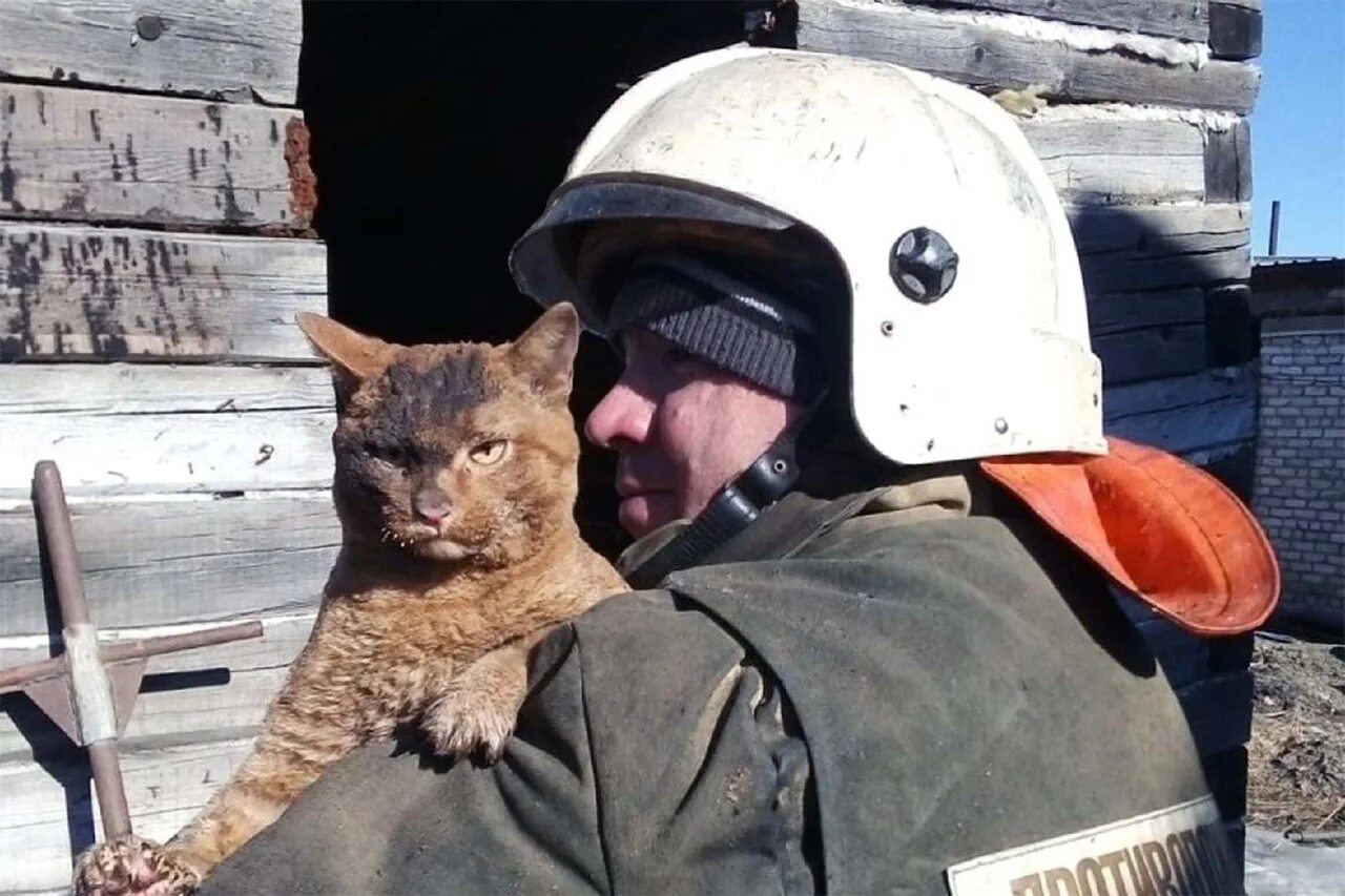 Суровый прийтись. Суровый прийтись