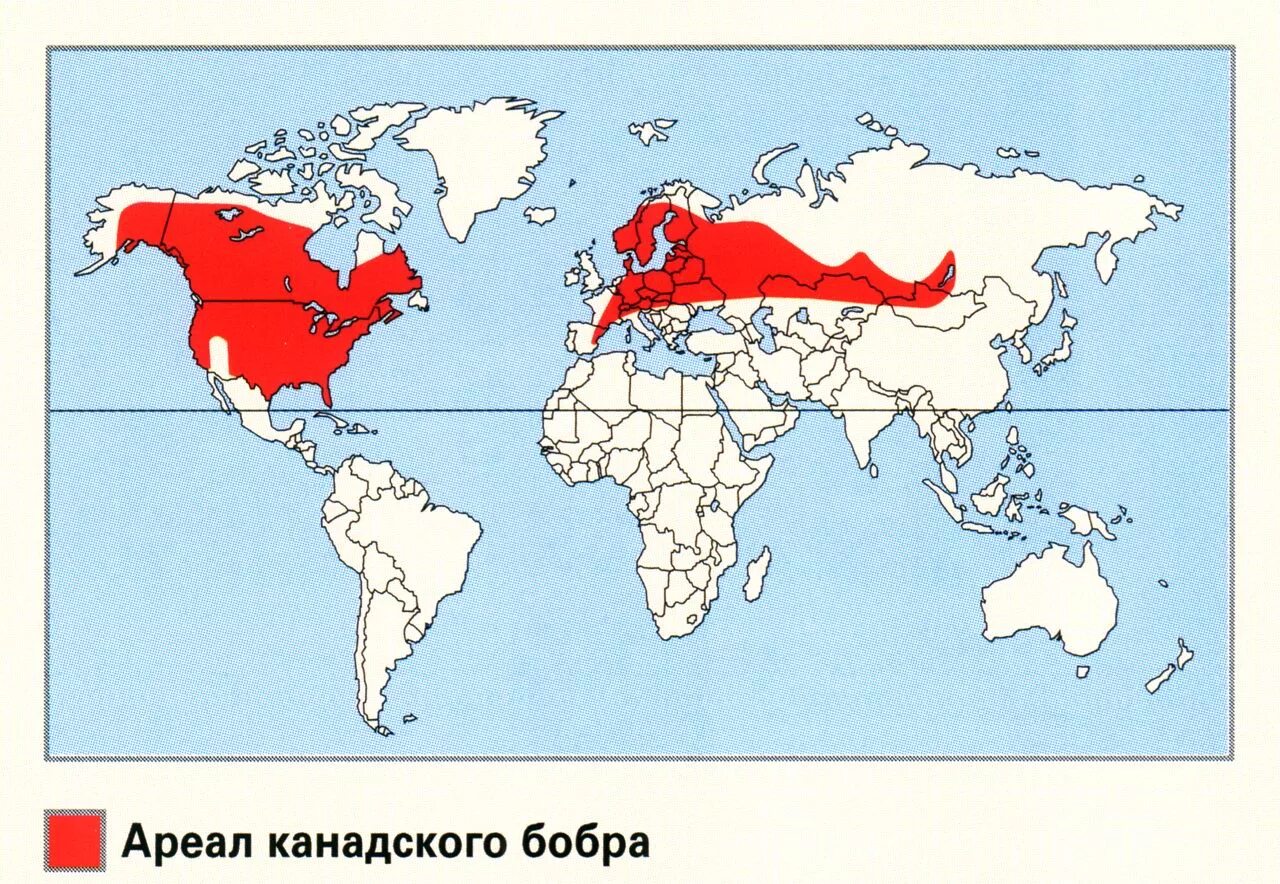 Ареал обитания бобра в россии. Ареал обитания речного бобра. Ареал бобра. Бобр обыкновенный ареал обитания. Ареал обитания бобров в россии.