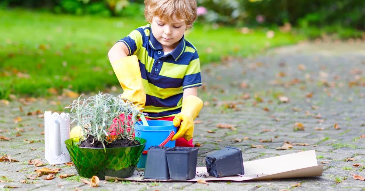 Boys plant. Мальчик сажает цветы. Картинка мальчик сажает цветы. Сажают цветы в теплых краях. Чёрно Волосый мальчик посадил дерево.