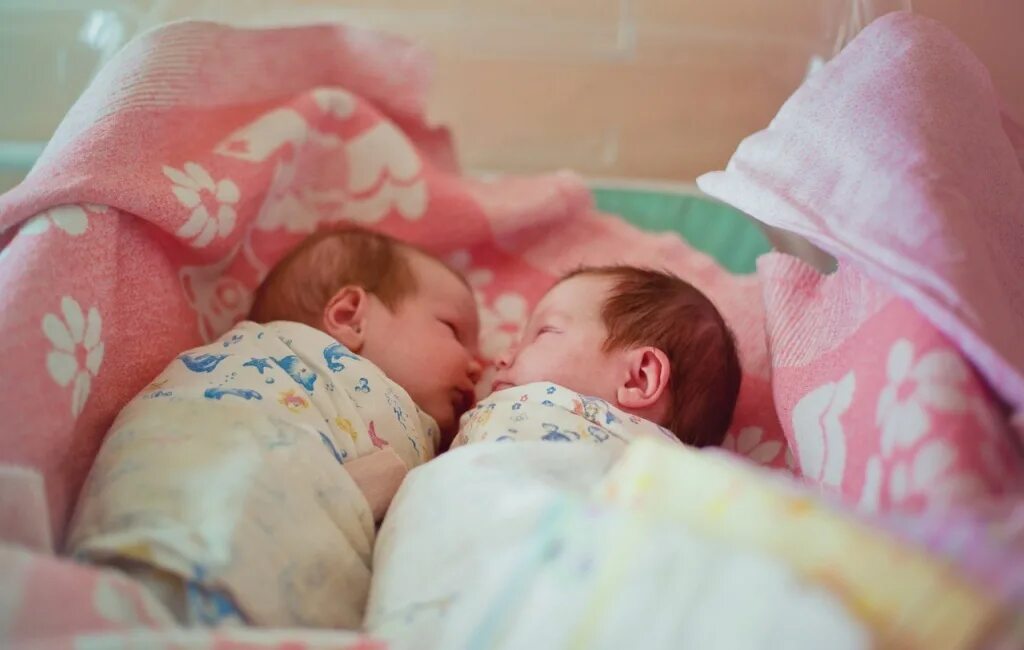 Младенцы двойняшки в роддоме. Новорождённые близнецы в роддоме. Новорожденные двойняшки девочки в роддоме. Двойня роддом. Двойняшки девочки в роддоме.
