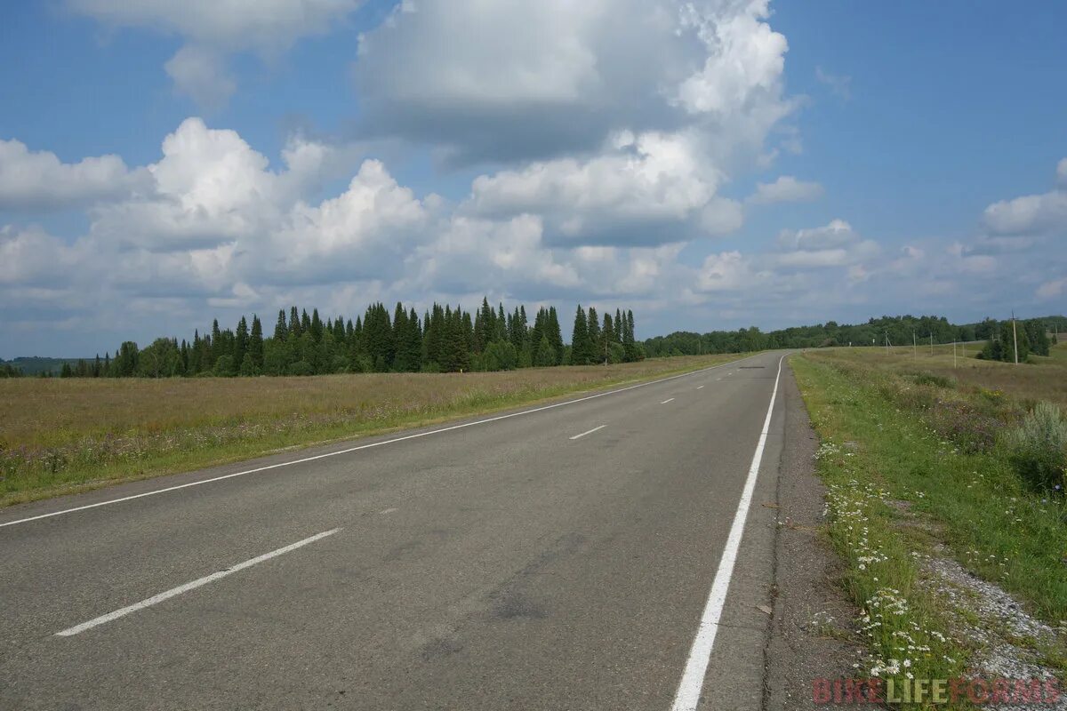 Пуштулим. Пуштулим Алтайский край. Село Пуштулим. Последниково Ельцовский район. Погода пуштулим алтайский край ельцовский