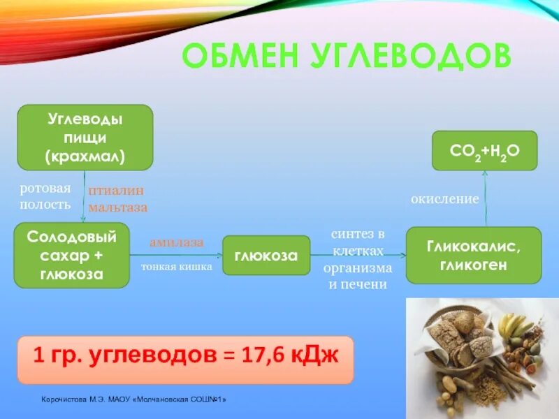 Этапы обмена углеводов. Обмен углеводов схема. Этапы углеводного обмена в организме. Этапы обмена углеводов в организме человека. Как происходит обмен углеводов