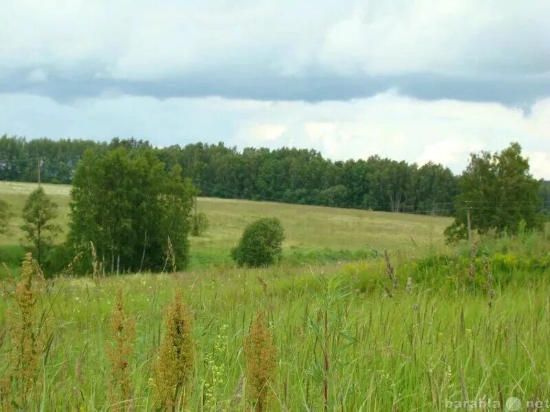 Лесной Ясногорский район. Село Климовское Ясногорского района Тульской области. Земля сельхозназначения Климовский район. Самые красивые участки в Тульской области. Участки тульская область ясногорский район