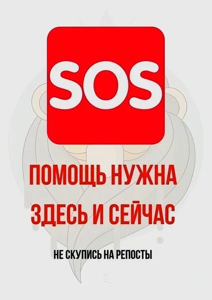 Сос нам нужна помощь она здесь ремикс. Картинка внимание sos. Сос нам нужна помощь она здесь ремикс. Сос нам нужна помощь она здесь ремикс. Sos срочно нужна помощь.