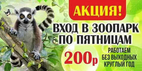 Зоопарк акции