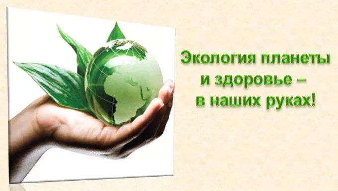 среды обитания организмов. экологические условия. влияние окружающей среды на человека. распространение организмов. окружающей средой для организма являются.