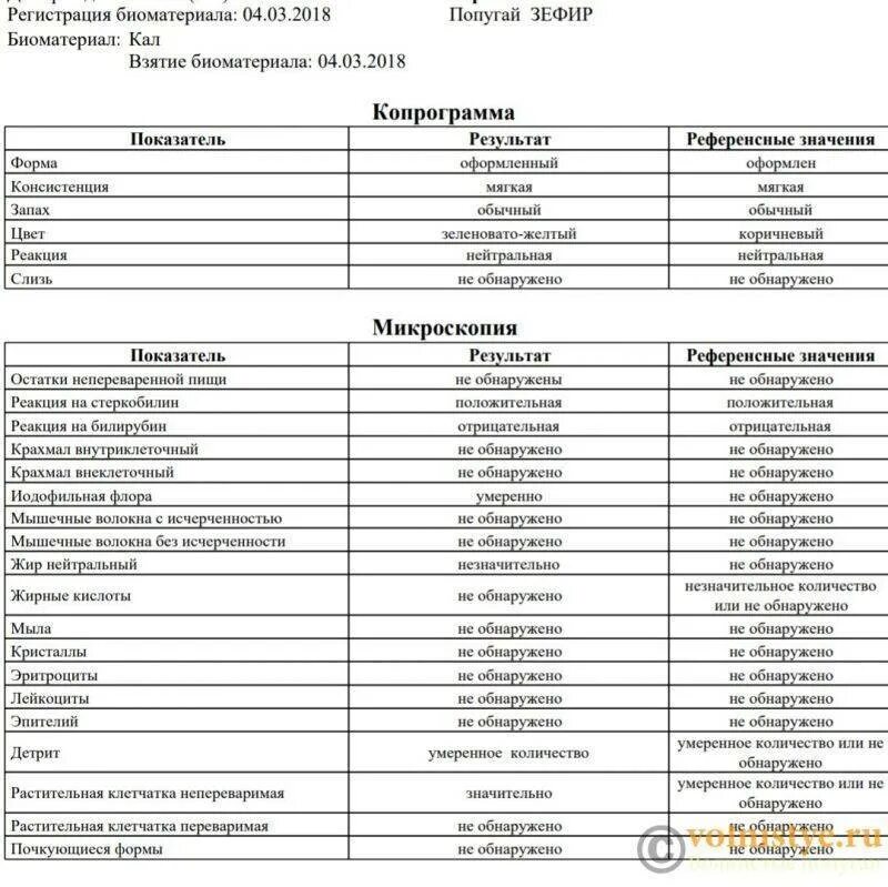 Сдать копрограмму ребенку