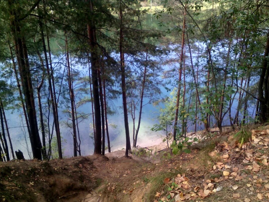 Крас увидим. Лесные карьеры Дзержинск. Кисляй пляж. Явас фото лесного карьер.