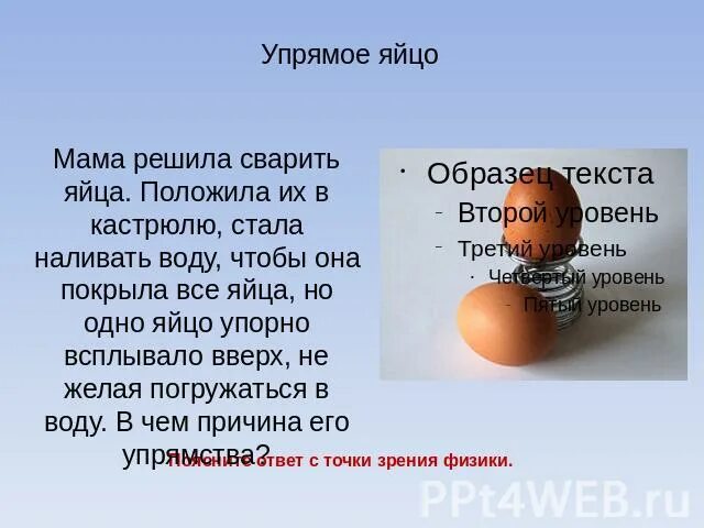 Мама яички рассказ. Яйцо мама. Мама яички рассказ. Мамины яйца. История возникновения яйца.