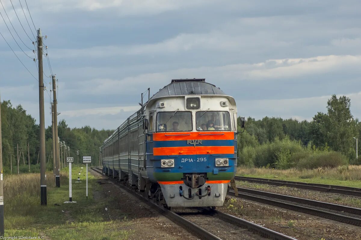 молодечно крулевщизна