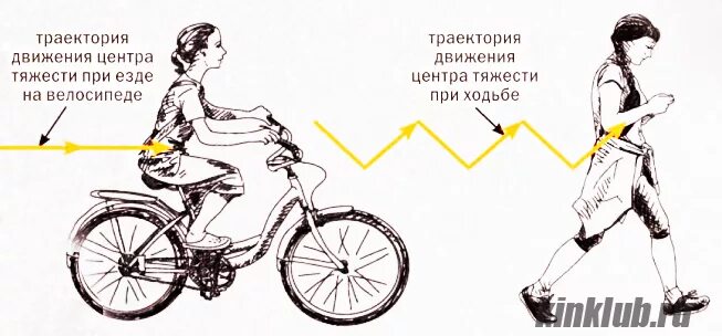 Мышцы задействованные при велосипеде. Мышцы задействованные при езде на велосипеде. Нагрузка на мышцы при езде на велосипеде. Нагрузка при езде на велосипеде для ног. 8 часов на велосипеде