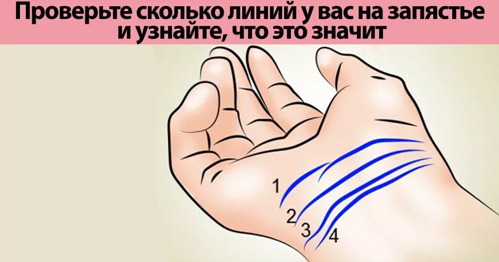 3 линии значение. Сколько линий у вас на запястье. что означают линии на запястье. браслеты линии на запястье.