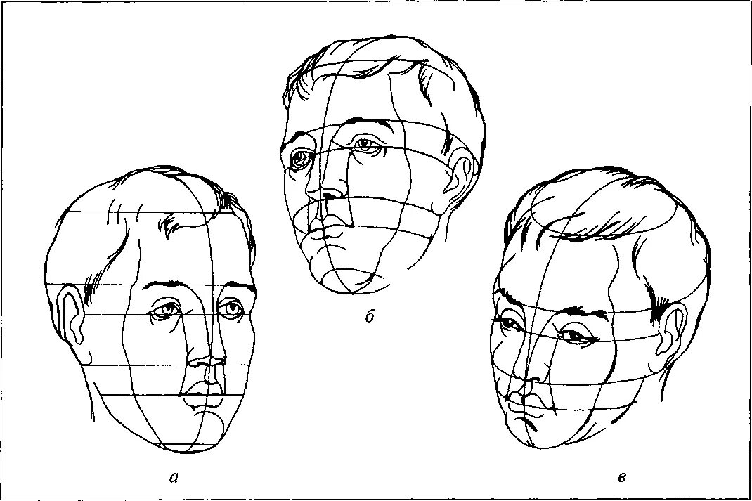 Лицо часть головы человека. Пропорции лица человека для рисования сбоку. Пропорции головы сбоку. Схема пропорций головы человека. Построение лица человека рисунок.