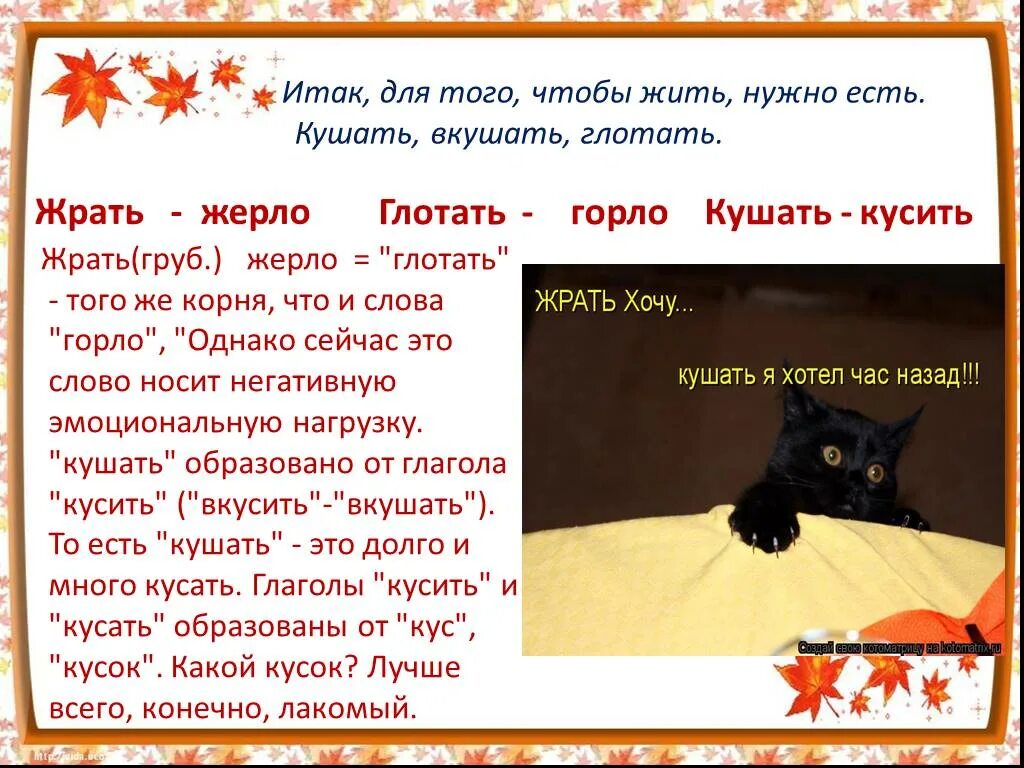 Кушать в русском языке есть или нет. Употребление слов есть и кушать. кушать или есть как правильно говорить. правильно говорить кушать. кушать есть такое слово.