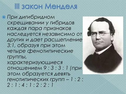Мендель признаки