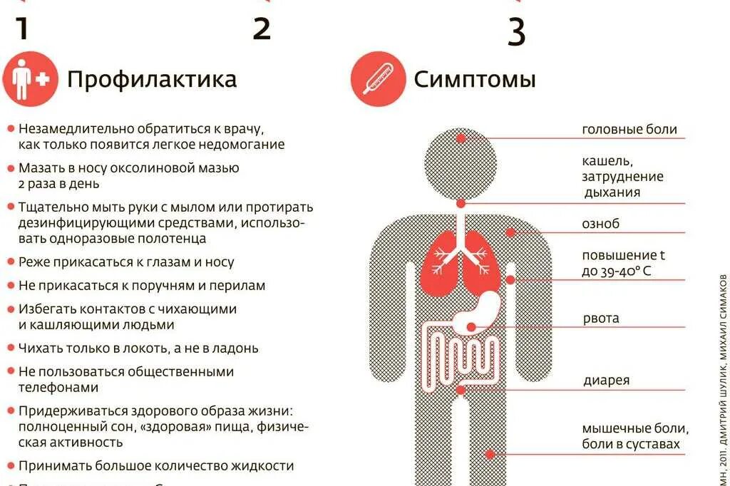 Лечение вируса гриппа. Грипп симптомы и профилактика. Профилактика вируса гриппа. «Грипп - симптомы заболевания и профилактика».. Вызываемое заболевание гриппа.