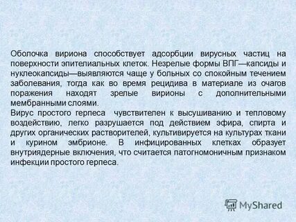 Стадии герпеса