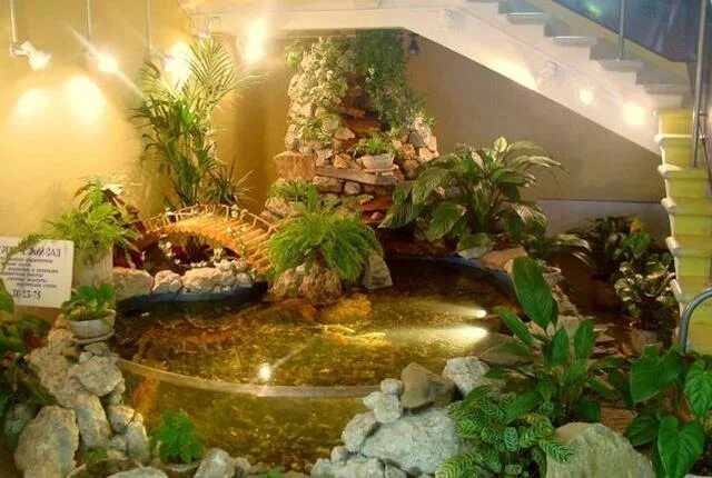 оазис в доме. озеленение помещений. комнатные растения в интерьере. живой уголок в квартире. дом в оазисе в пустыне.