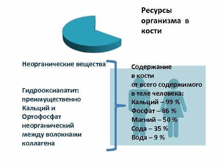 Ресурсы организма человека