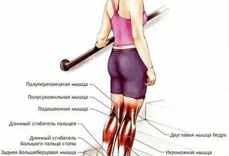 Икроножные мышцы болят что делать