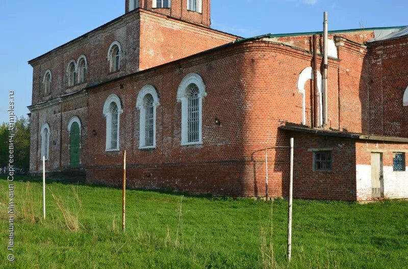 Семион кораблинский. Семион кораблинский