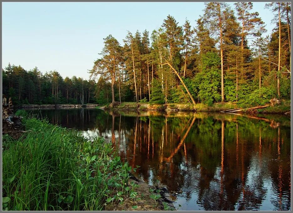 Мещера рязань. Национальный парк Мещера Рязанская область. Нац парк Мещерский Клепиковского района. Мещерский парк Рязань. Национальный парк Мещерский река пра.