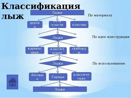 Виды лыжного спорта таблица
