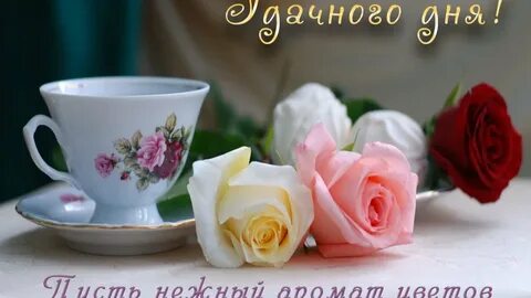 Доброе утро нежные картинки понедельник