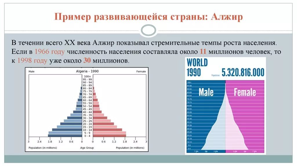 Плотность алжира. Возрастная структура алжира. алжир демография. численность населения алжира.