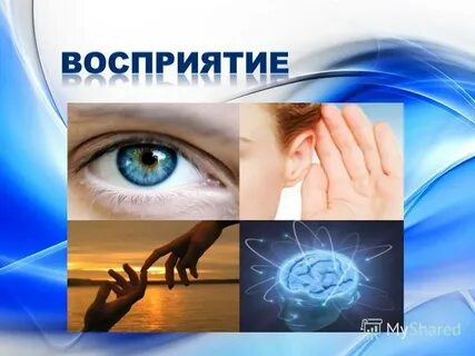 Вопрос восприятия