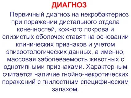 Первичный диагноз
