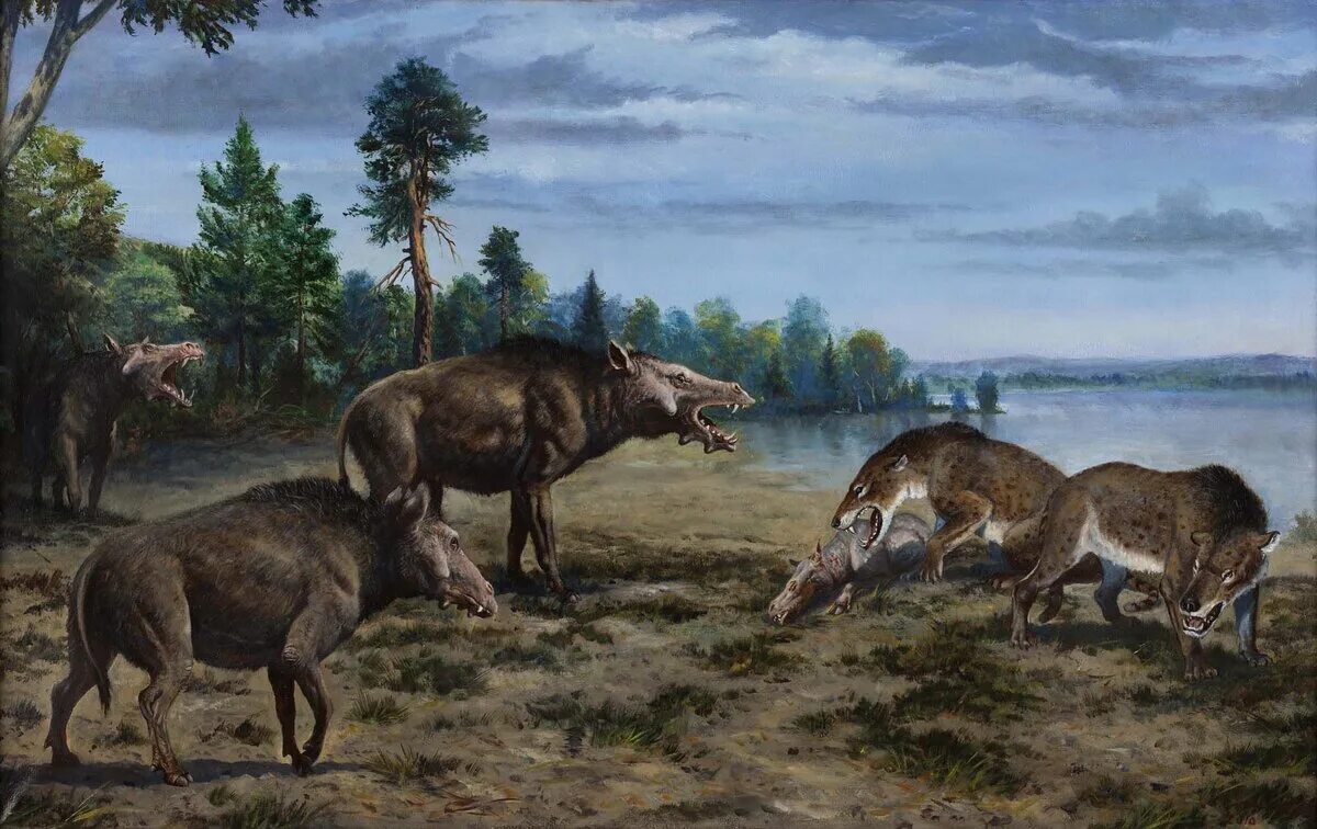 Grice extinct pig