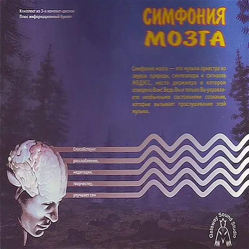 Песни про мозг. Симфония мозга. Симфония мозга 3 CD. Симфония мозга 1 CD. Музыка и мозг книга.