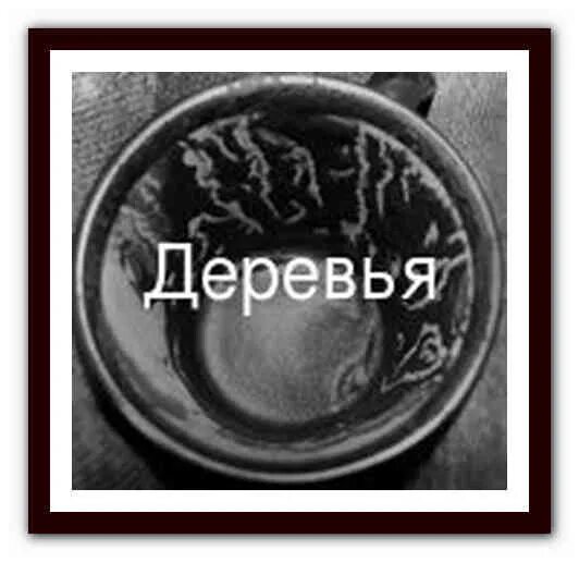 Рыба значение гуща
