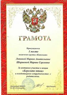 Грамота за высокий профессионализм