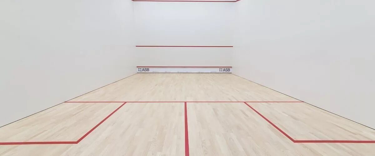 Сити сквош. Сквош комната. Мини сквоша разметка корта. Гришанин сквош. Сквош мгн.