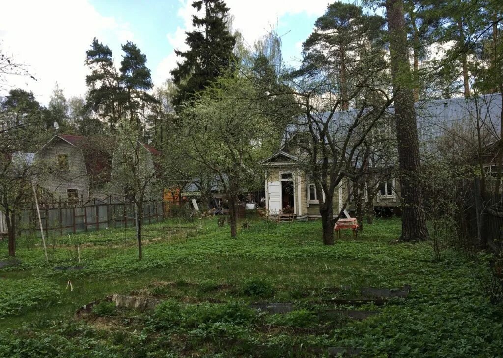 Мамонтовка гоголевская улица дом-2. Мамонтовка пушкино. Пушкино улица ленточка фото. Лесная 1 мамонтовка. Старая школа на улице ленточка мамонтовка фото.