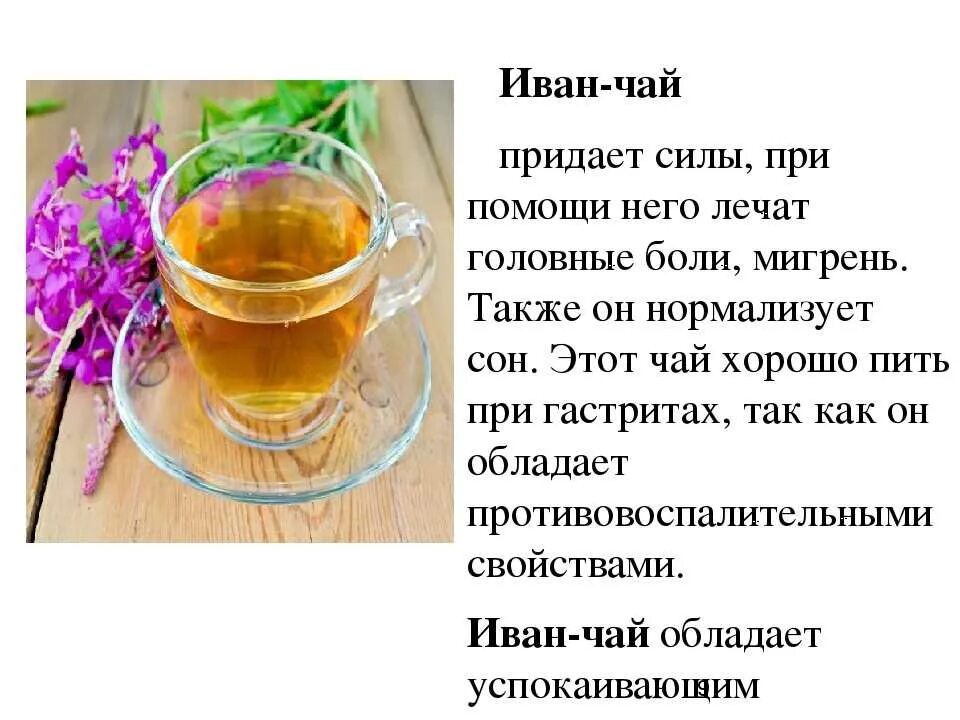 Полезный чай. Кипрей свойства и применение