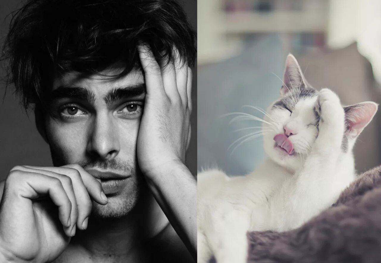 Чувак кот. Парень с кошкой. брутальный мужчина с котом. мужчина с котиком. парень похож на кота.