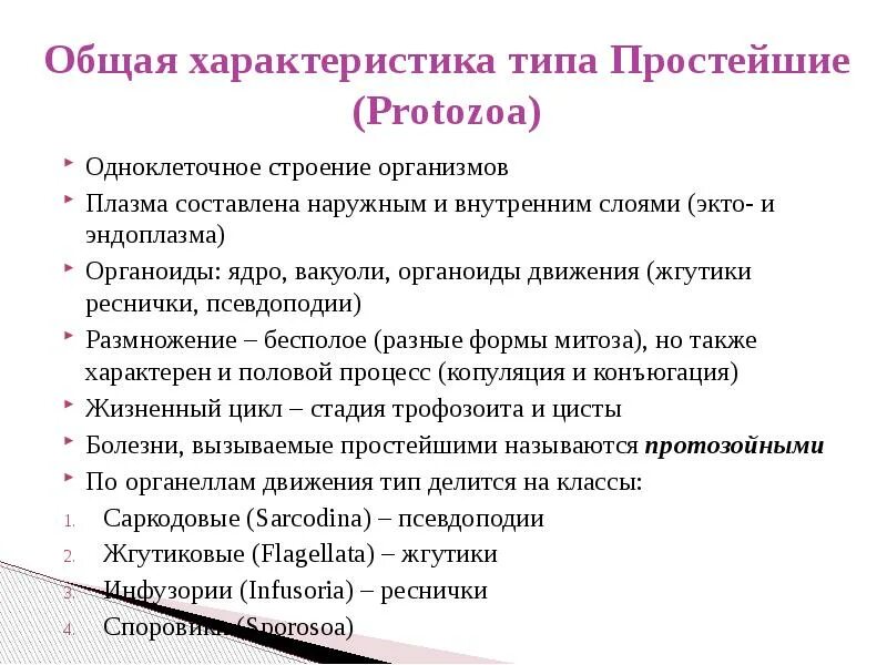 Основной характер. Тип простейшие общая характеристика. Классификация и характеристика типа простейших.. Общая характеристика простейших 7 класс кратко. Простейшие общая характеристика простейших.