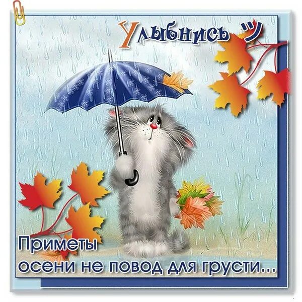 С добрым дождливым утром августа картинки