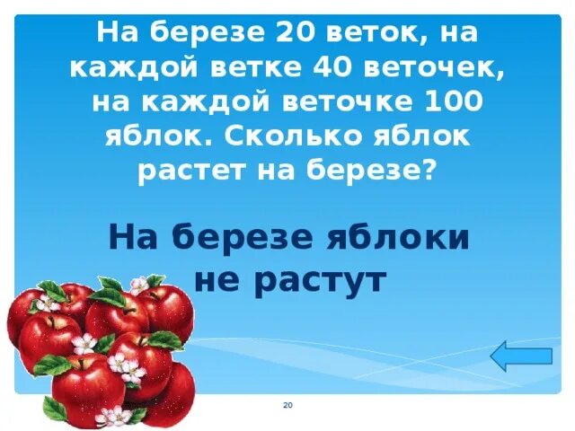 Березка яблоко. Сколько яблок растет на Березе. На берёзе растут яблоки. На Березе яблоки не растут. Сколько яблок росло на Березе.