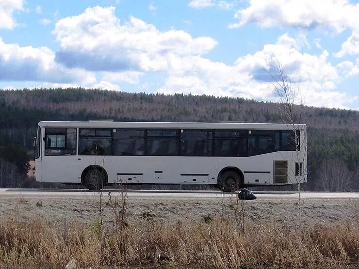 145 автобус екатеринбург полевской. расписание автобусов полевской екатеринбург 120. автобусы 145 66 полевской. расписание автобусов полевской екатеринбург. 145 автобус полевской.