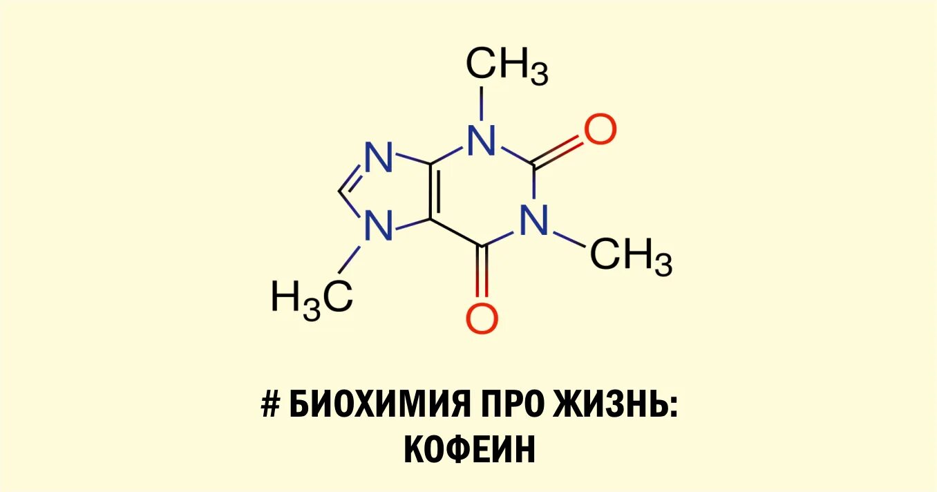 Кофеин биохимия. Кофеин алкалоид. Кофеин структурная формула. Эффект кофеина биохимия. Механизм кофеина