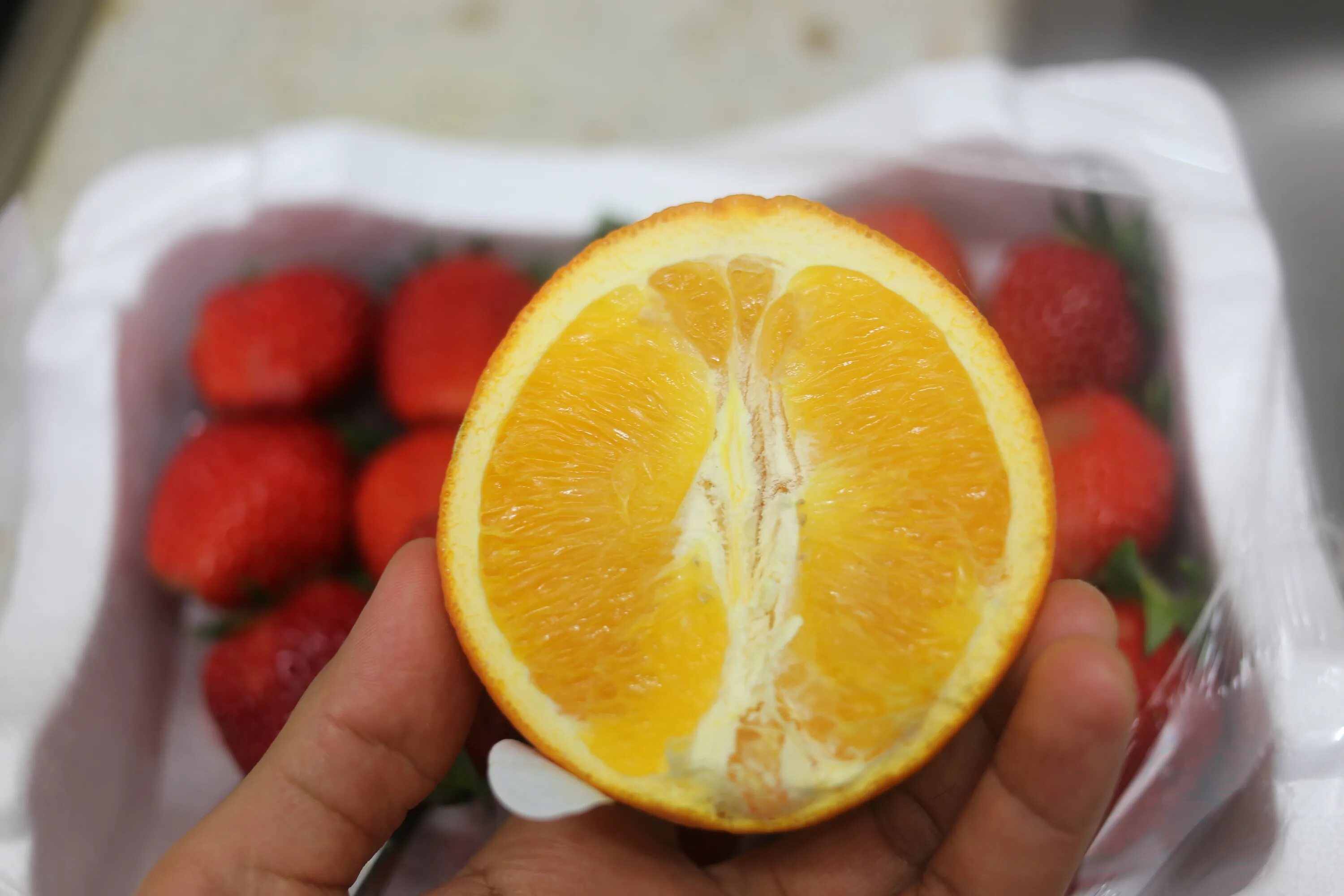 They like oranges. Волокна апельсина. Мандарин белые волокна. Апельсины фуд фото. Апельсиновое волокно изделия.