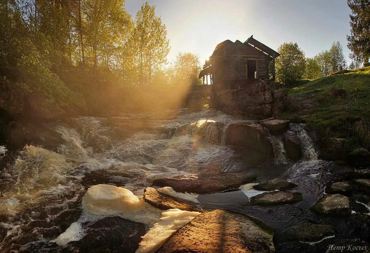 Самый ленобласть
