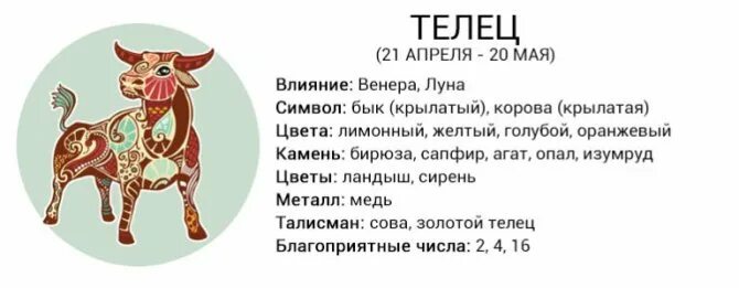 Год собаки какой цвет